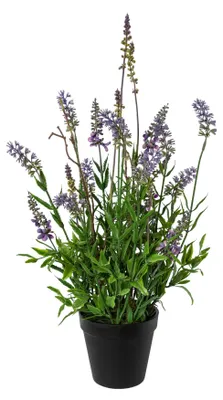 Produktbild von CREATIV green künstlicher Lavendel 48cm, lila, im schwarzen Kunststofftopf 11x10cm, mediterrane Dekoration