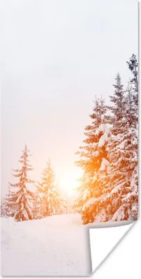 Produktbild von MuchoWow® Poster Sonne - Bäume - Schnee 20x40 cm - Plakat - Foto