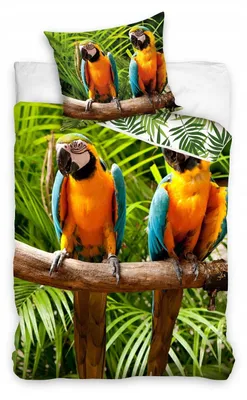 Produktbild von Carbotex Bettwäsche Set 140x200 cm Papageien Baumwolle