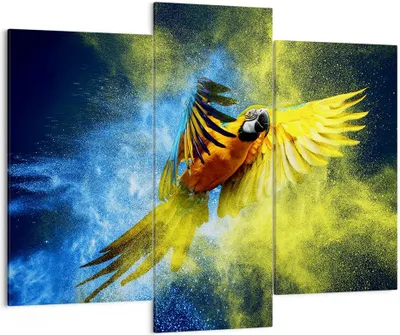Produktbild von Bild auf Leinwand - Leinwandbild - Papagei Vogel Feder - 130x100cm - Wand Bild - Wanddeko - Leinwanddruck - Bilder - Kunstdruck - Wanddekoration - Leinwand bilder - Wandkunst - CB130x100-3666