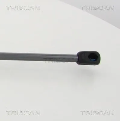 Produktbild von TRISCAN 8710 80217 Motorhauben