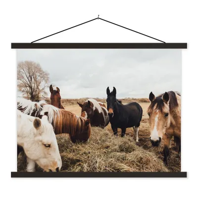 Produktbild von MuchoWow® Textilposter Tiere - Pferd 120x90 cm mit schwarzem Rahmen - Aufhänger für Poster