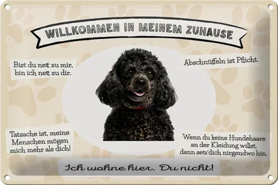 Produktbild von Blechschild Spruch 30x20cm Tiere Pudel willkommen Zuhause