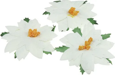 Immagine prodotto di CHRISTMAS STARS Fiori di carta di mirtillo - bianco grande 70 mm