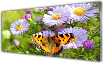 Immagine prodotto di Quadri in vetro 125x50, decorazioni murali, stampa su vetro, motivi floreali, farfalle, natura