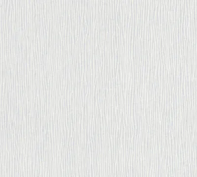 Produktbild von A.S. Création Vliestapete Meistervlies Pro Protect 2, weiss, überstreichbar, 10,05 m x 0,53 m, 243911, 2439-11
