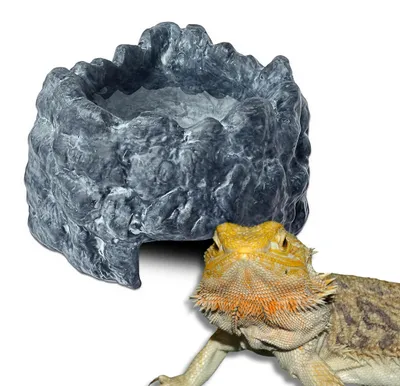 Produktbild von Exo Terra Corner Wet Rock Kleines Nassversteck