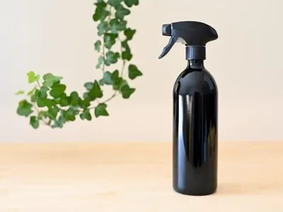 Produktbild von Pflanzensprüher aus Violettglas - Vernebler, 250 ml