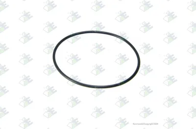 Produktbild von Euroricambi Dichtring 60531190 0,005kg