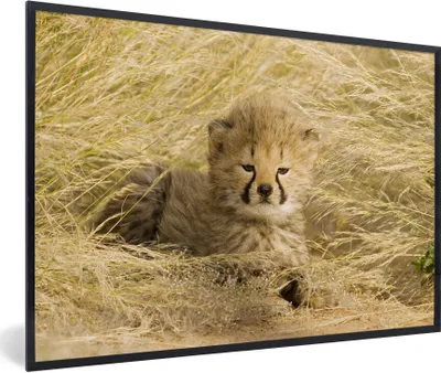 Produktbild von MuchoWow® MuchoWow® Gerahmtes Poster Gepard - Jung - Gras 60x40 cm - Poster mit zchwarzem Bilderrahmen - Printing - Wanddeko Schlafzimmer