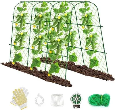 Image de Tuteur pour plantes grimpantes - Support pour bac à compost - Treillis de jardin pour tomates et concombres - Système de tuteurage amovible - Tige métallique - Insert horizontal pour treillis de jardin