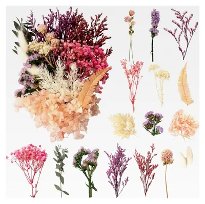 Produktbild von Trockenblumen Set für Kunst und DIY Projekte (Stil 4)
