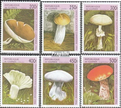Produktbild von Briefmarken Guinea 1996 Mi 1610-1615 (kompl.Ausg.) postfrisch Pilze