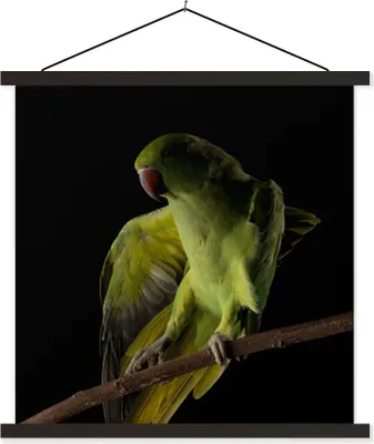 Produktbild von MuchoWow® Textilposter Papagei - Vogel - Zweig 90x90 cm mit schwarzem Rahmen - Magnetisches