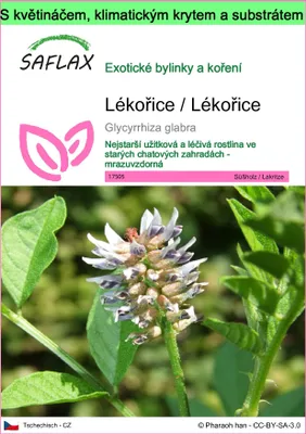 Obrázek produktu pro SAFLAX Garden to go - Lékořice / Lékořice - Glycyrrhiza glabra - 30 Semena - S květináčem, klimatickou poklicí a pěstebním substrátem