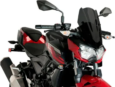 Immagine prodotto di Cupolino PUIG naked sport fumè scuro per Kawasaki z400