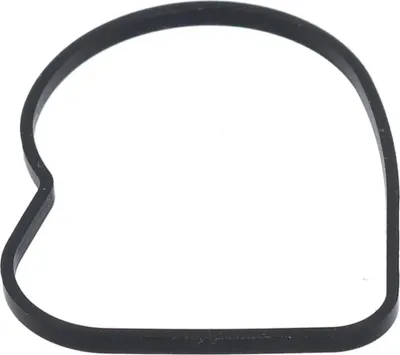 Produktbild von SHIMANO Dichtung für Schaltgehäuse RD-M9000 - Ersatzteil, 2 g, Y5PV25000