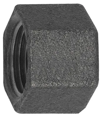 Produktbild von Riegler Kappe 300, Rp 1/4 i. Temperguss schwarz