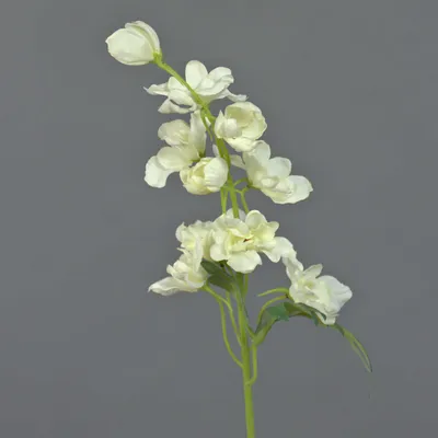 Produktbild von artplants.de Kunstblume Rittersporn VAYA, blau-weiß, 50cm, Ø5cm - Künstliche Blume