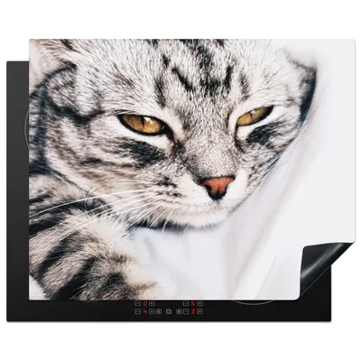 Produktbild von KitchenYeah© Herdabdeckplatte Katzen - Augen - Makro , 65x52cm, Küche Deko, Glaskeramikkochfeld Herdabdeckung, Abdeckplatte fùr Kochfeld