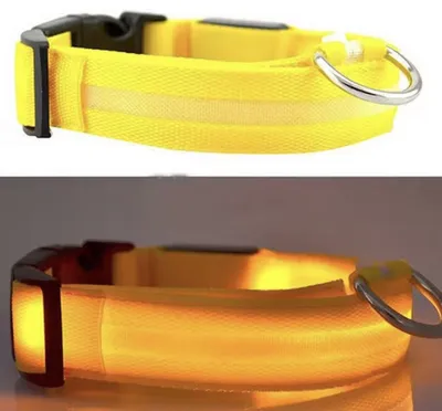Productafbeelding van CHPN - LED-halsband - Lichtgevend hondenhalsband - Halsband - Geel - Maat L - 45-52 cm - Halsband voor dieren - Halsband - Geel halsband - Trendy hondenhalsband - Werkt op batterijen