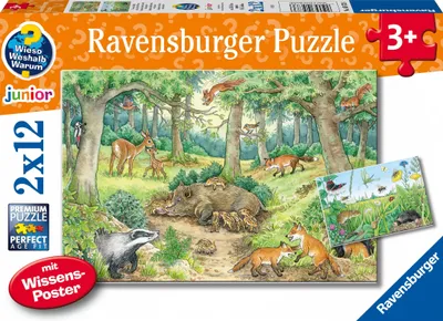 Immagine prodotto di Perché? Perché? Perché? Animali nel bosco e nel prato Ravensburger 05673
