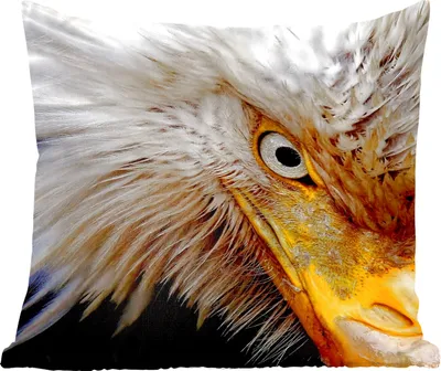 Produktbild von MuchoWow® Zierkissen Sofakissen Wohnzimmer Dekokissen 50x50 cm Vogel - Auge - Schnabel - Komfort - Sofakissen
