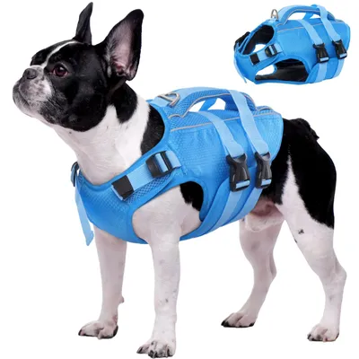 Schwimmweste für Hunde, verstellbar, Ripstop, blau, M