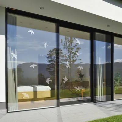 12 Vogel-Silhouetten-Sticker, transparent matt, Fensterschutz