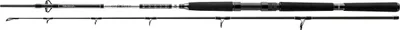 Image de Daiwa BG Offshore Pilk 2,70m 40-125g Canne pilote