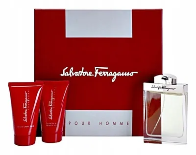 Produktbild von Salvatore ferragamo pour homme edt 100ml +SG + ASB