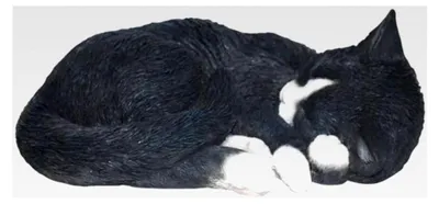 Produktbild von Dekofigur Schlafende Katze, realistisch, Schwarz/Weiß