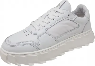 A white sneaker on a white background.