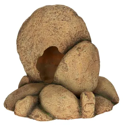 Produktbild von Terrarium Holz und Kunststoff, 21,5 x 12,5 x 19 cm, für Reptilien und Pflanzen