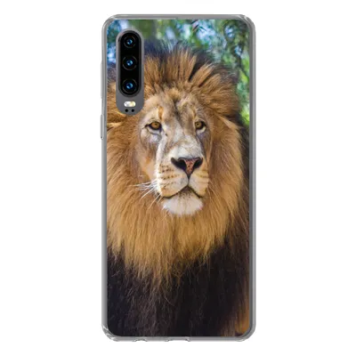Produktbild von MuchoWow® Handyhülle Schutzhülle Hülle für Huawei P30 Löwe - Natur - Tier Silikon Softcase Handy Hülle - Kartenbesitzer