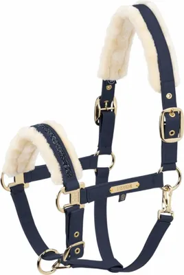 Immagine prodotto di Eskadron Heritage 25/26 Gioiello in ecopelle FF Halfter