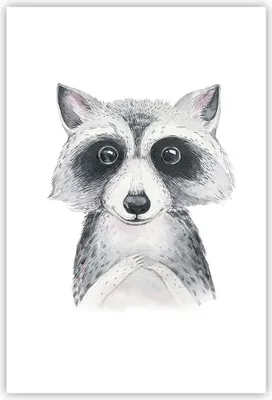 Produktbild von Poster - Poster ohne Rahmen - Waschbär Bild Kinder - 61x91,5 cm - Wand Bild - Wanddeko - Wandbilder - Kunstposter - Wandposter - Bilder - Kunstdruck - Wanddekoration - Wandbild - P2XPA61x91-4607