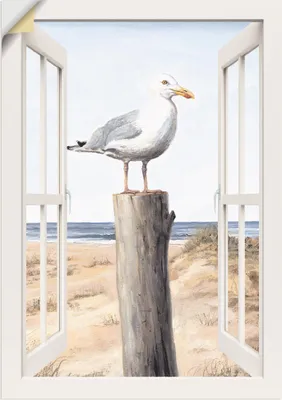 Produktbild von ARTland Wandbild, selbstklebend Möwe Fensterblick Größe: 50x70 cm