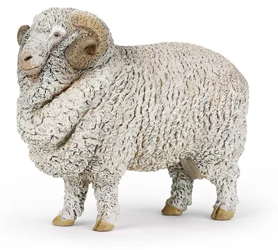 Produktbild von Papo Merinoschaf, 3 Jahr(e), Farmyard friends, Weiß, PVC