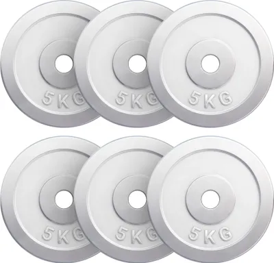 Produktbild von GORILLA SPORTS® Hantelscheiben - 30 kg Set, 6 x 5 kg Gewichte, 30/31mm Bohrung, aus Chrom - Gewichtsscheiben