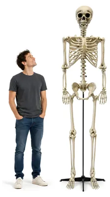 Produktbild von Riesenskelett Halloweendeko – 240 cm