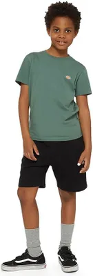 Produktbild von Dickies Youth Mapleton Sportshorts Grün XL Mann Grün XL