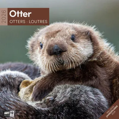 Produktbild von Otter Broschürenkalender 2026 - 30x30 - Art12