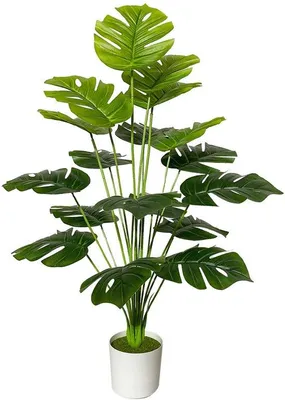 Zdjęcie produktu dla Sztuczna palma, duża sztuczna roślina, idealna do salonu, na balkon, do biura i do wnętrz (75 cm, zielona monstera)