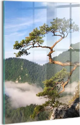 Produktbild von Designer Glasbild - Wandbild - Glas Bild - 20x30 cm - Sokolica Wierch Im Pieniny-Gebirge