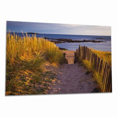 Produktbild von Wallario Herdabdeckplatte aus Glas, Größe 90 x 52 cm 1-teilig, Motiv Weg durch die Dünen zum Meer an der Küste