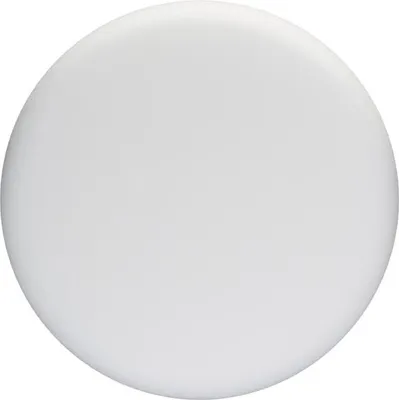 Produktbild von Schaumstoffscheibe weich (weiß), Ø 170 mm