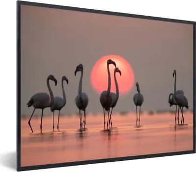 Produktbild von MuchoWow® Gerahmtes Poster Vogel - Flamingo - Sonnenuntergang - Rosa 80x60 cm - Poster mit Schwarzem Bilderrahmen Wandposter Rahmen Foto Bilder - Schwarzem - Mit Gestell