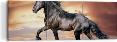 Produktbild von Bild auf Leinwand - Leinwandbild - Pferd Tier Wiese - 120x40cm - Wand Bild - Wanddeko - Wandbilder - Leinwanddruck - Bilder - Kunstdruck - Wanddekoration - Leinwand bilder - Wandkunst - CA120x40-2608