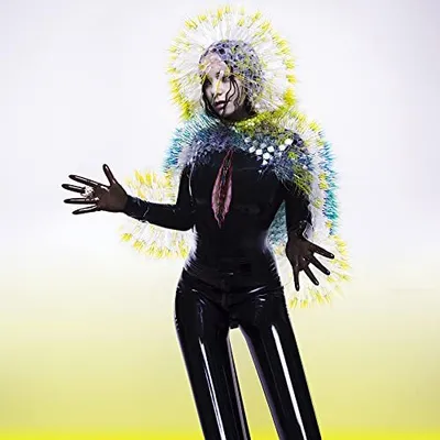 Produktbild von Björk - Vulnicura CD